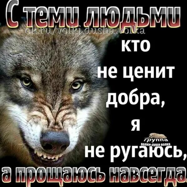 Не делай добра не получишь зла цитаты. Не делай добро не получишь зло. добро не ценится. делаешь добро а получаешь зло.