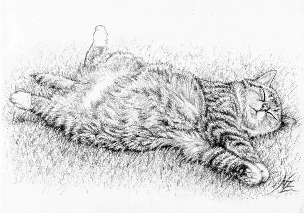 Как нарисовать лежащую кошку
