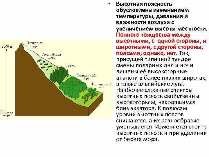 Что влияет на высотную поясность