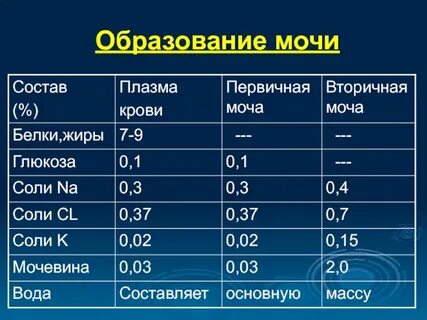 Химический состав первичной