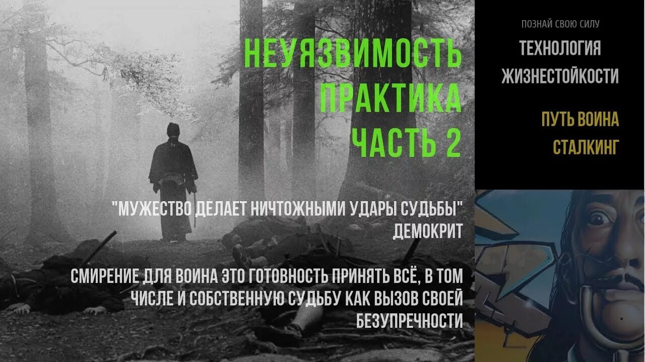 Уровни интернета нетсталкинг. Истории сталкинга. Stalking criminals. Сталкинг преследование. Истории сталкинга.