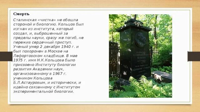 Памятник Николаю Константиновичу Кольцову. Кольцов наследник рода 3