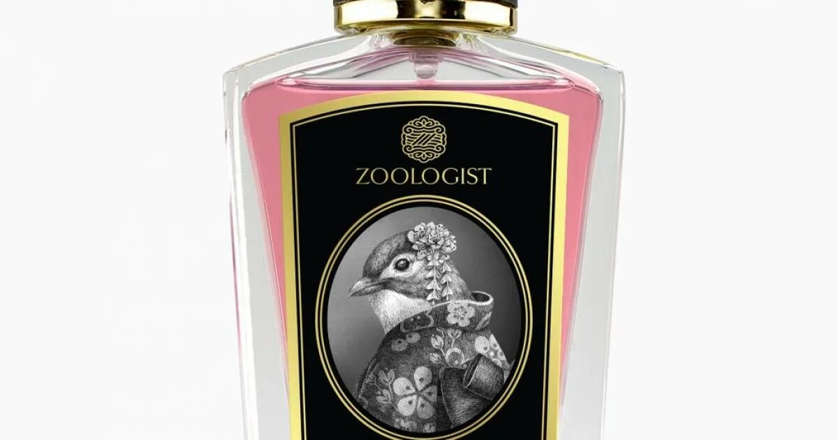 Zoologist perfumes. Духи zoologist Hummingbird. Zoologist флаконы. Zoologist крокодил духи. Zoologist Cocktail.