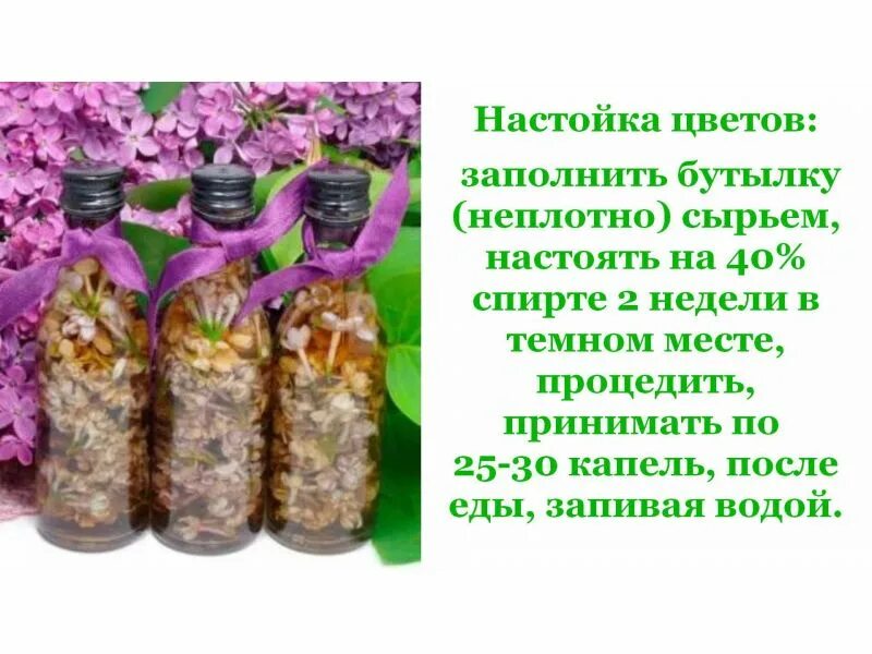 Сирень в народной медицине рецепты. Сирень лекарство. Настой сирени