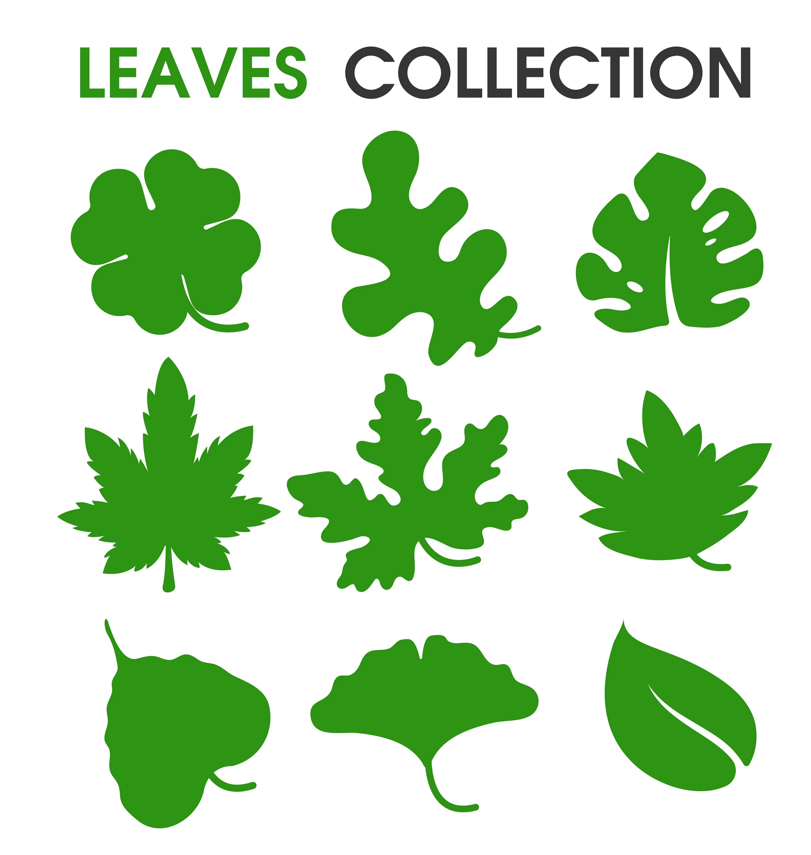 Collecting leaves. Collecting leaves. Девочка держит осенний лист в картинках для детей. Collecting leaves picture. Нарисовать листья на стене своими руками поэтапно.