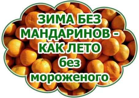 Мандарины шампус надо доставать поднимайтесь