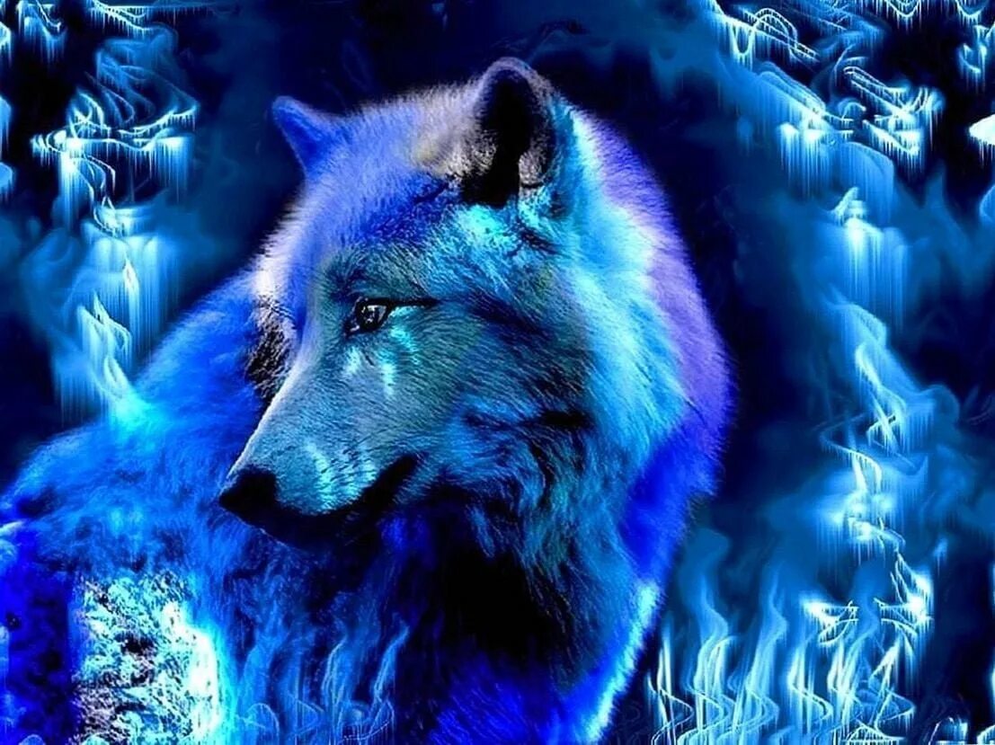 Голубой волк. Красивый волк. Волк фэнтези. Волки крутые. Красивые обои на телефон волка