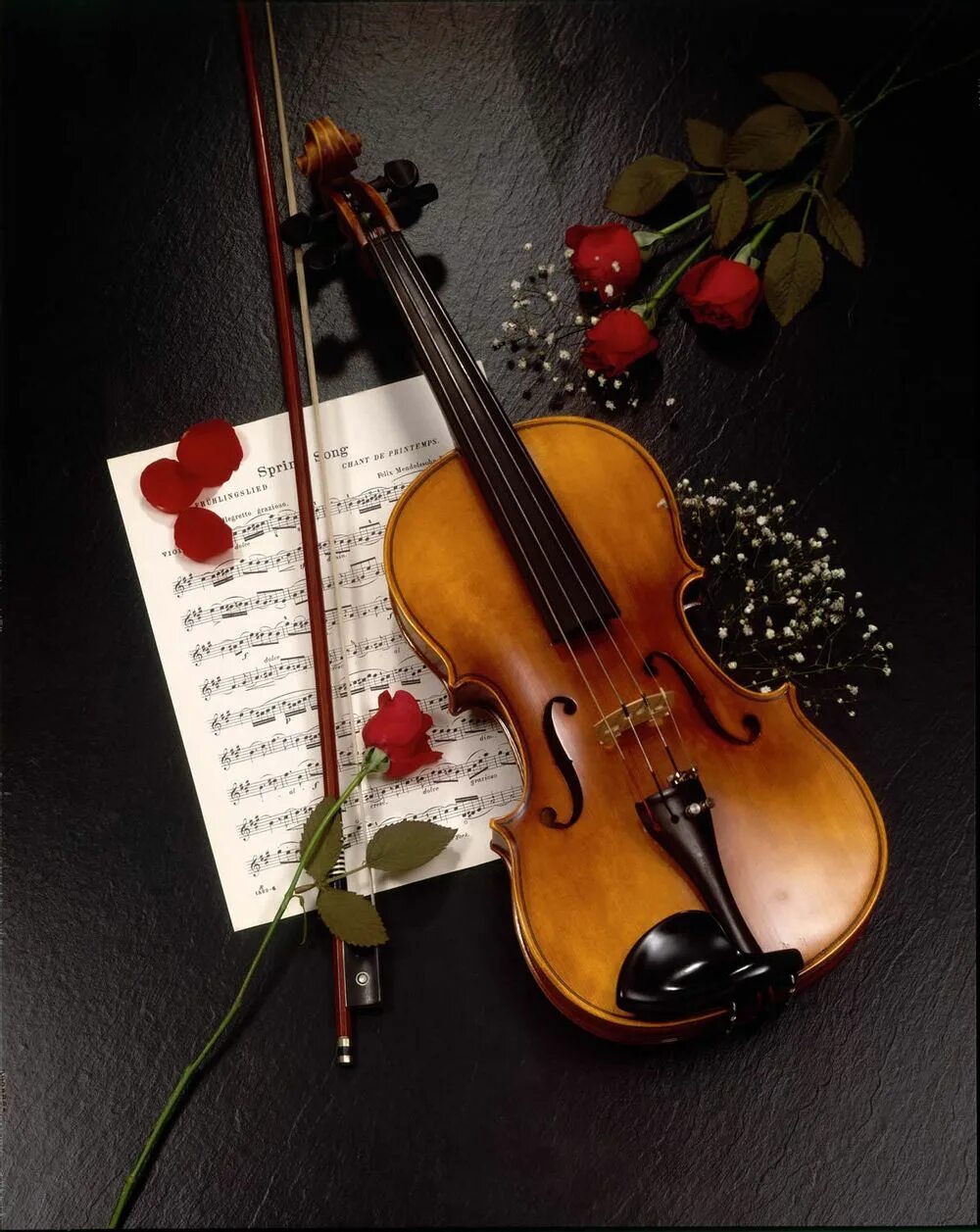 Скрипка. Всемирный день скрипки. Красивая скрипка. Необычная скрипка. Рингтоны на телефон скрипка