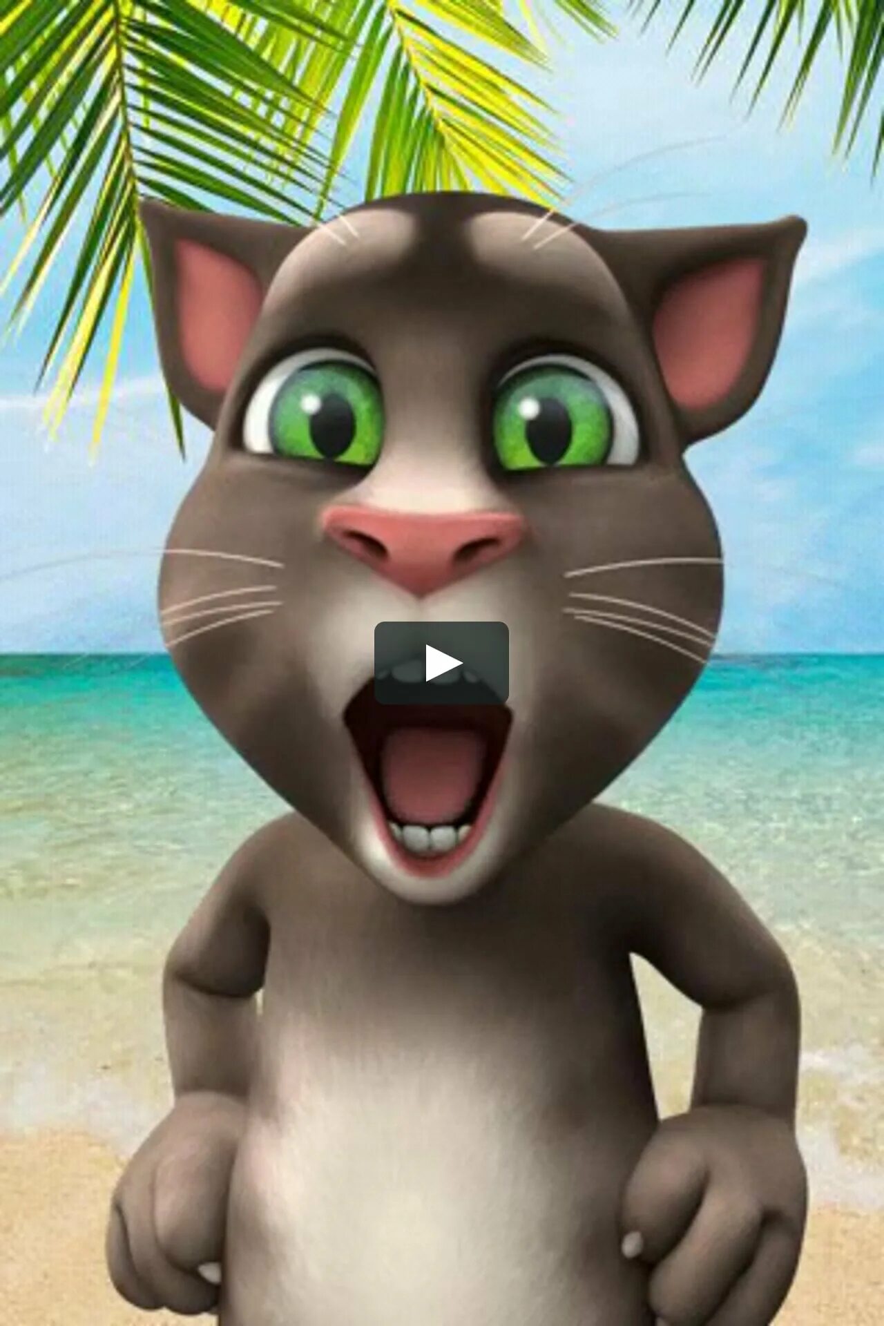 Talking Tom. Talking Tom Cat 2010. My talking tom2018. Talking Tom 2013. Что случилось с автором мой говорящий том