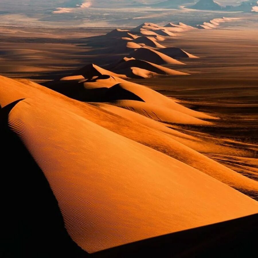 Самые большие 10 пустыни в мире. Пустыня сахара дюны. Сахара Барханы в пустыни. Пустыня Барханы Оазис. Пустыни: сахара, Ливийская, Намиб, Калахари..
