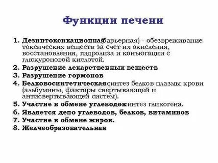 4 функция печени