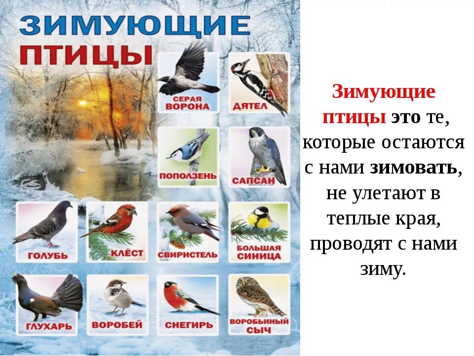 В каких произведениях есть птицы. Зимующие птицы. Перелетные и зимующие птицы. Названия зимующих и перелетных птиц. ЗИМУЩИ Е птицы.