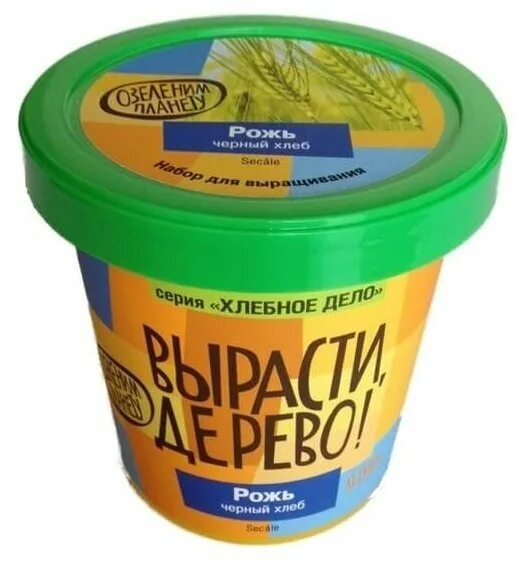 вырасти дерево что нужно. вырасти дерево что нужно. наборы вырасти дерево зеленый капитал. набор для выращивания вырасти, дерево! сумасшедшая роза. катальпа прекрасная вырасти дерево.