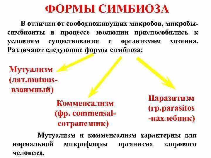 Симбионтом человека является. Форма симбиоза кишечной палочки в организме человека. Формы симбиоза. Формы симбиоза микроорганизмов. Формы совместного существования.