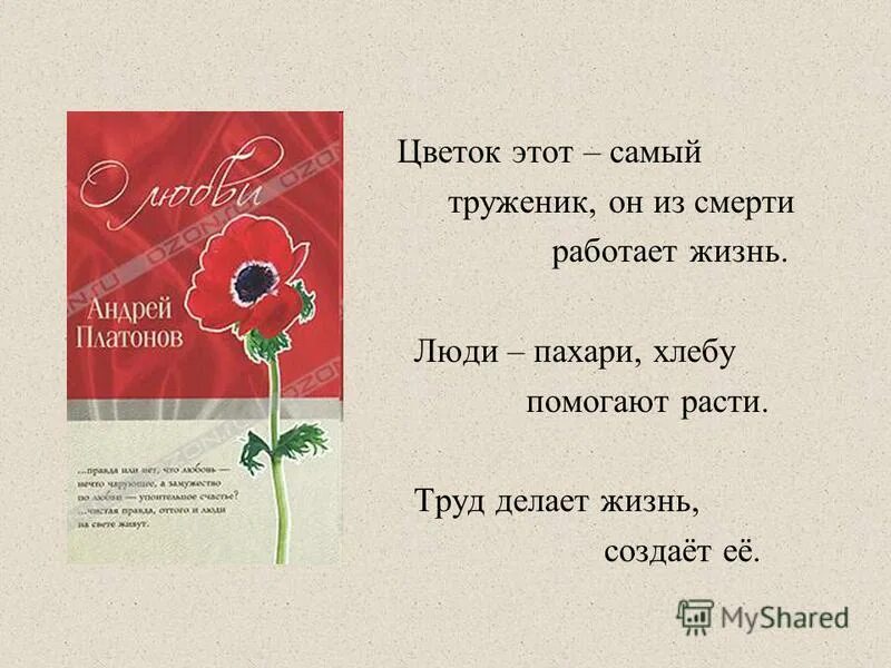 Идея рассказа цветок на земле. Цветок этот самый труженик. Цветок на земле план. Цветок этот — самый труженик, он...из смерти работает. Пословицы к рассказу цветок на земле.