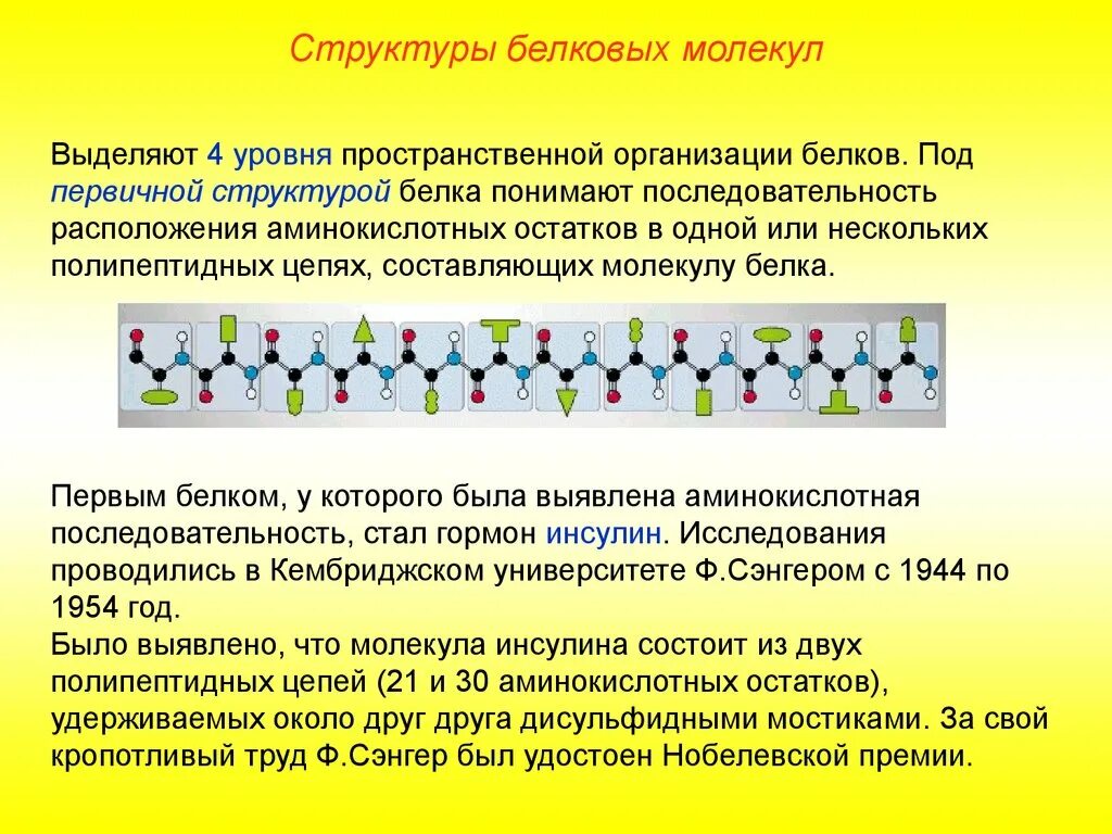 Уровни структурной организации молекул белков. Уровни пространственной организации белков. Структурные уровни организации молекулы белка. Структурная организация белковых молекул. В организации белковых