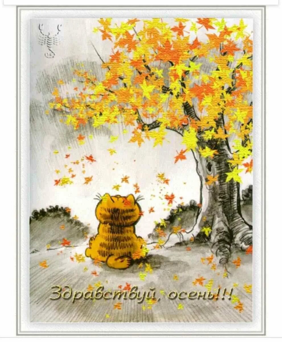 Осенние открытки. Открытки с изображением осени бесплатно. Теплые осенние открытки. Здравствуй осень.