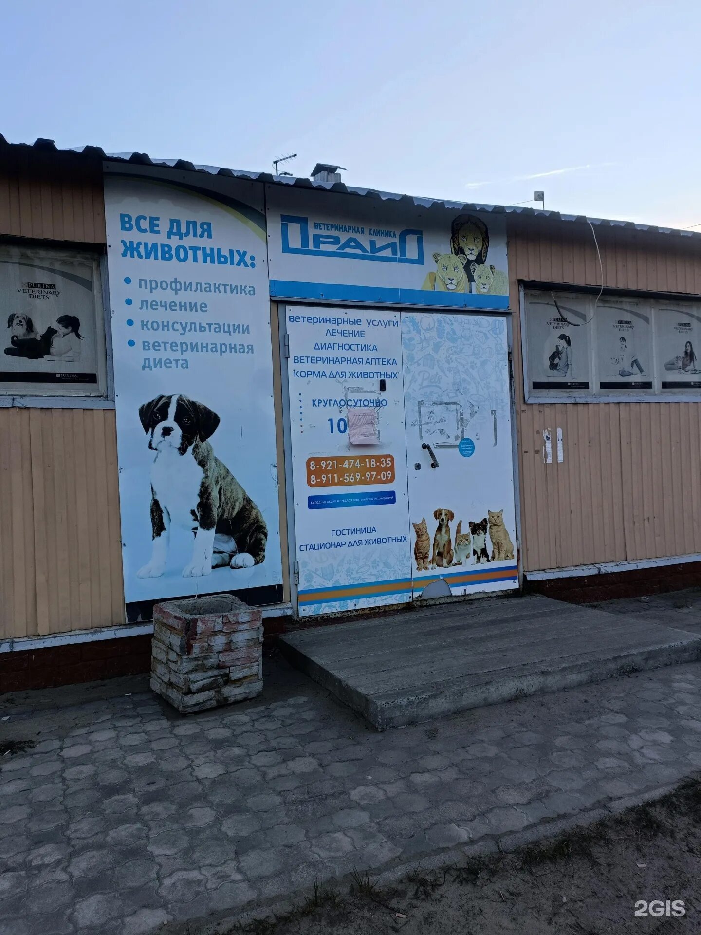 Помощь другу северодвинск ветеринарная. Ветклиника фрея северодвинск. Помощь другу северодвинск ветеринарная. Помощь другу северодвинск ветеринарная. Помощь другу северодвинск ветеринарная.