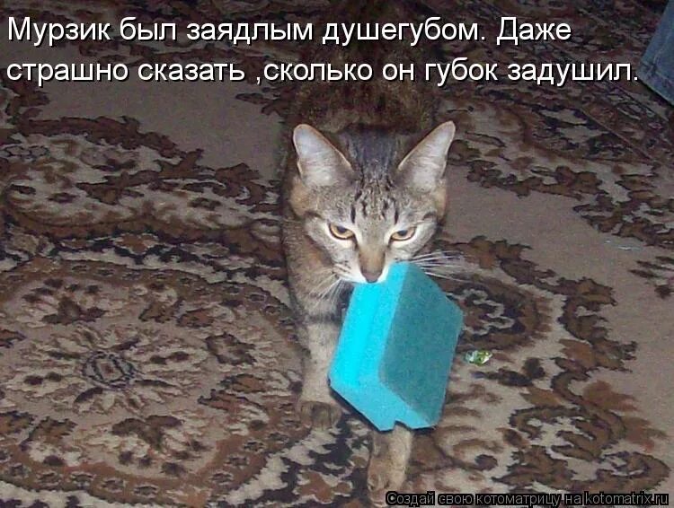 страшно сказать даже. страшно сказать даже. чувство полного одиночества. человек боится сказать. цитаты о боязни признаться в чувствах.