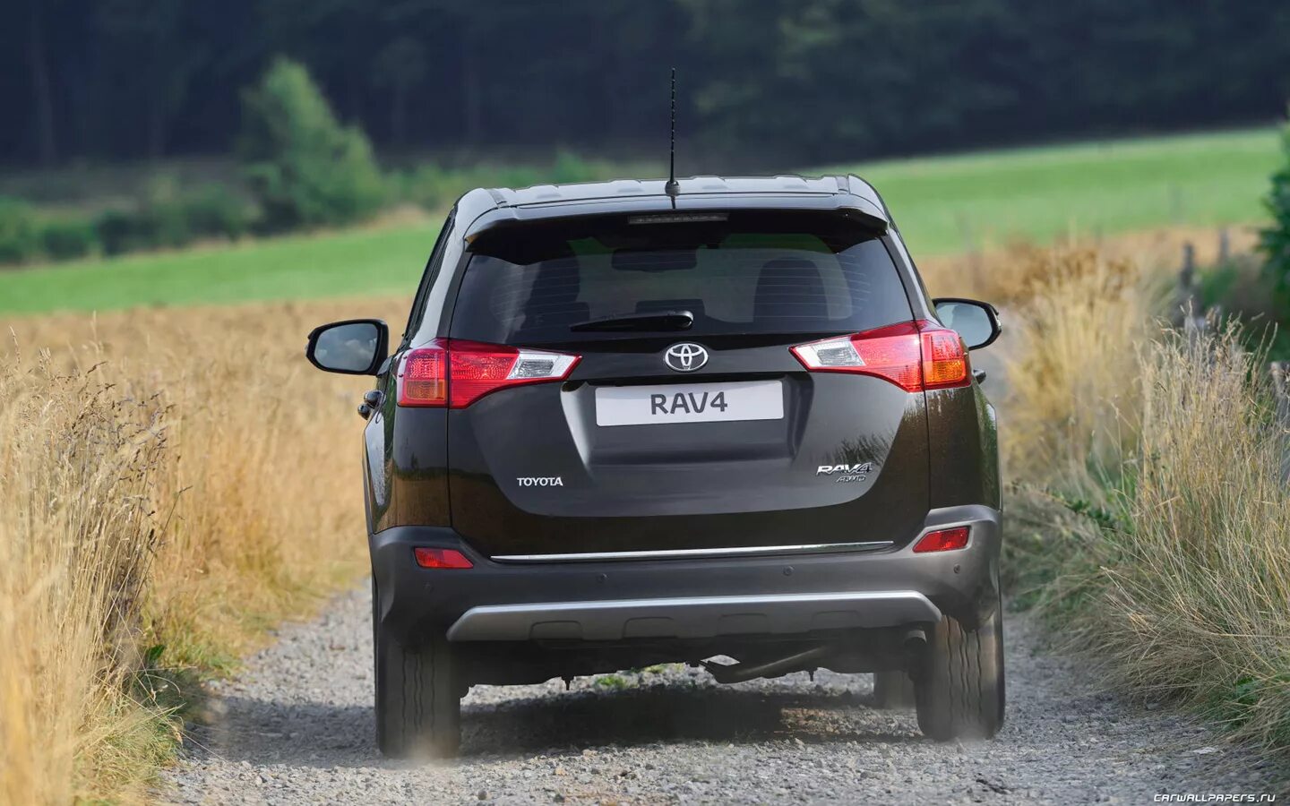 Виды рав. Toyota rav4 2014. Тойота рав 4 2014.