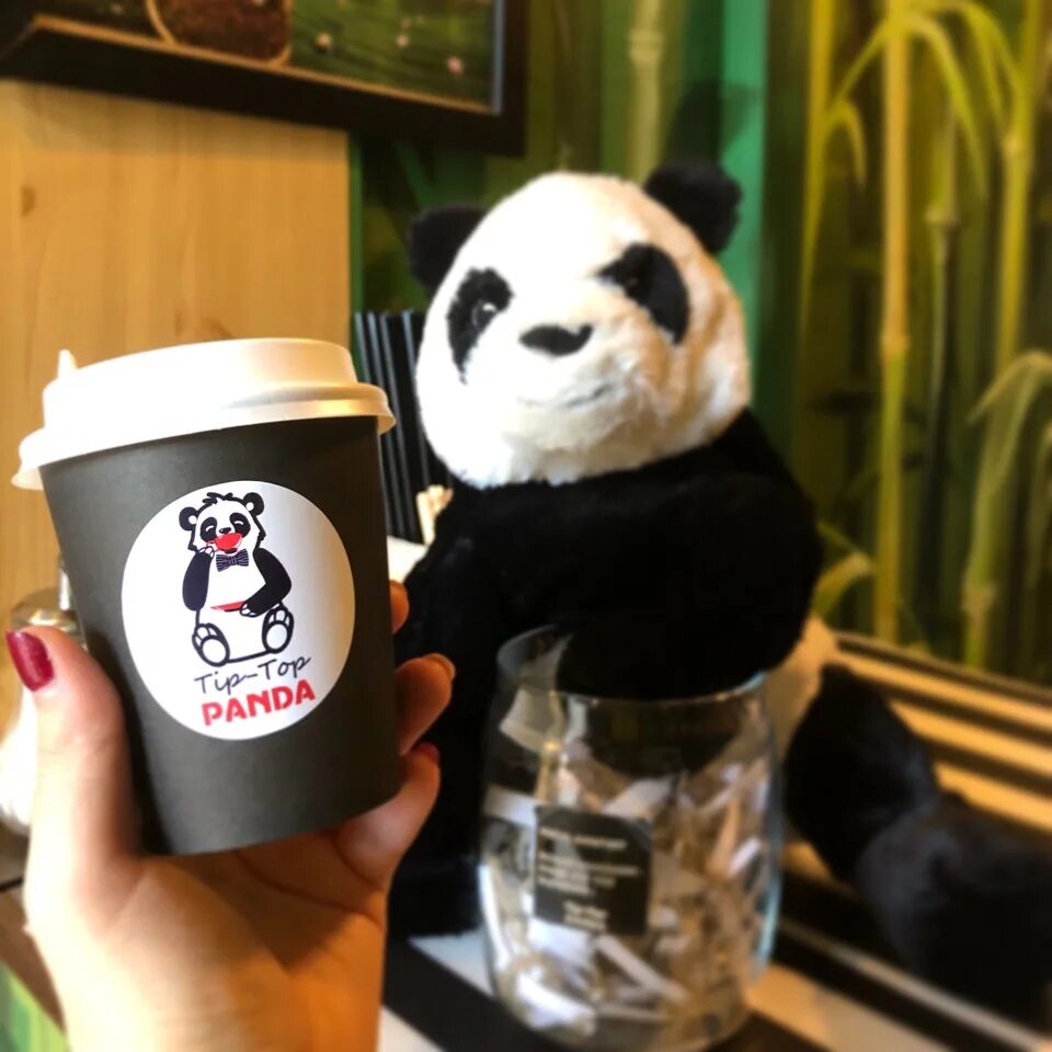 Панда китти. Рисунки для маек панда. Маленькие панды. Панда с кофе. Панда с детёнышем.