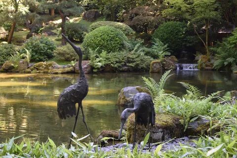 Wildlife garden