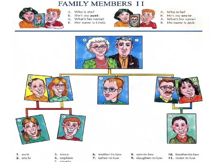 Member answers. A member of the Family. Предложение на тему Family members. Family members Cards. Family members 2 класс.