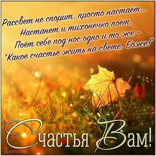 Сентябрь цитаты и афоризмы