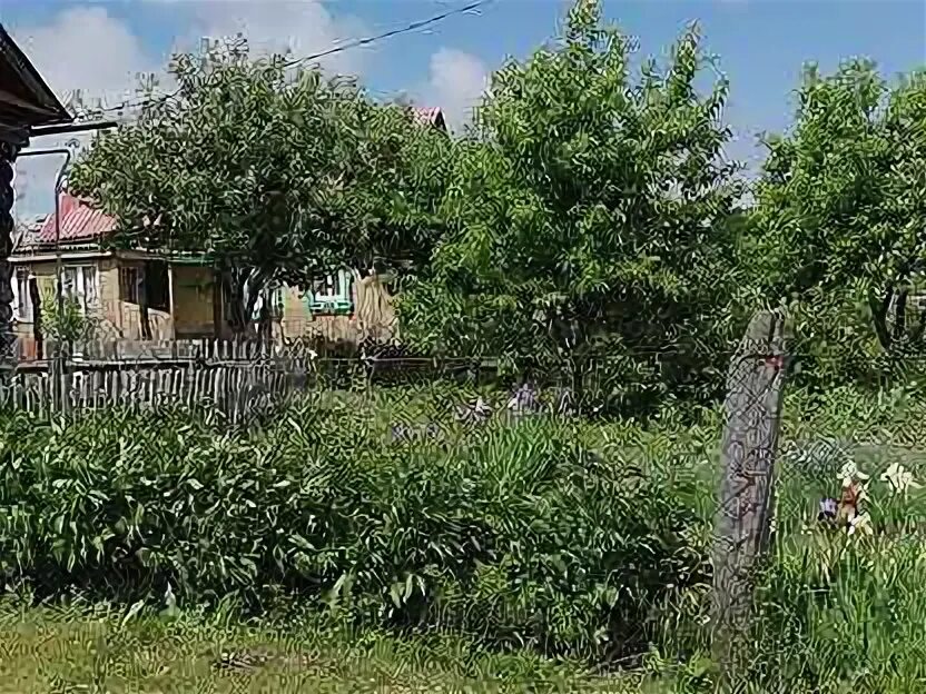 Погода арышхазда. Погода арышхазда. Неклиновка ростовская область. Арышхазда казань. Погода арышхазда.