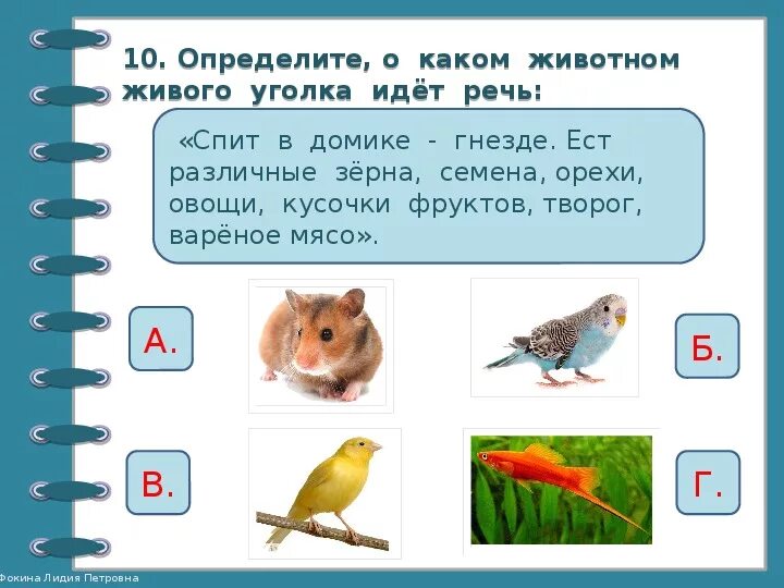 Проверочная работа 2 класс люблю все живое. Животные живого уголка. Обитатели живого уголка. Питомцы живого уголка. Окружающий мир животные живого уголка.