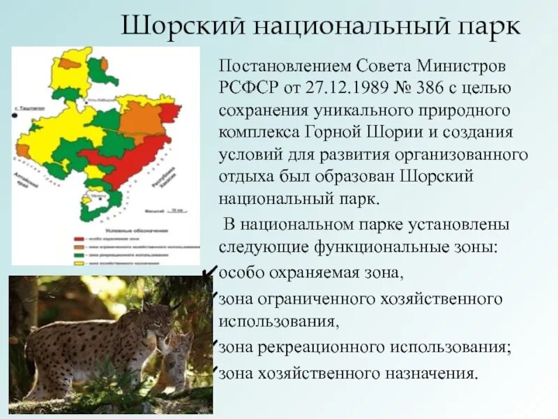 Шорский национальный парк территория. Шорский национальный парк презентация. Заповедные места кузбасса презентация. "царские ворота" шорский национальный парк. Животные шорского национального парка.
