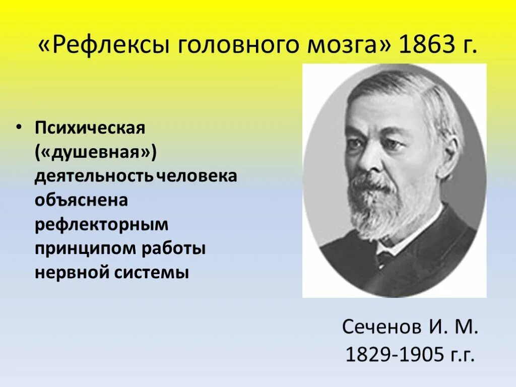 Сеченов 1863 рефлексы. Рефлексы головного мозга 1863. Рефлексы головного мозга Сеченова. И М Сеченов рефлексы головного мозга. Сеченов рефлексы мозга