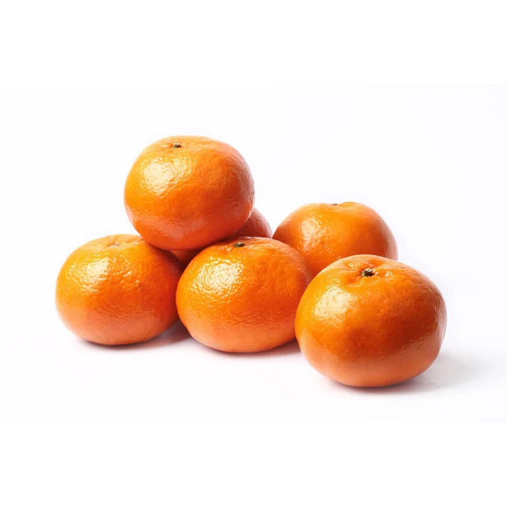 Мандарины муркот. Мандарины муркотт. Мандарины муркотт. Мандарины муркот. Мандарины муркот.