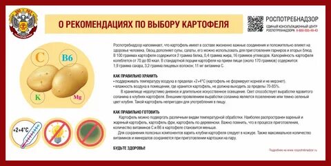 Выбор картофеля