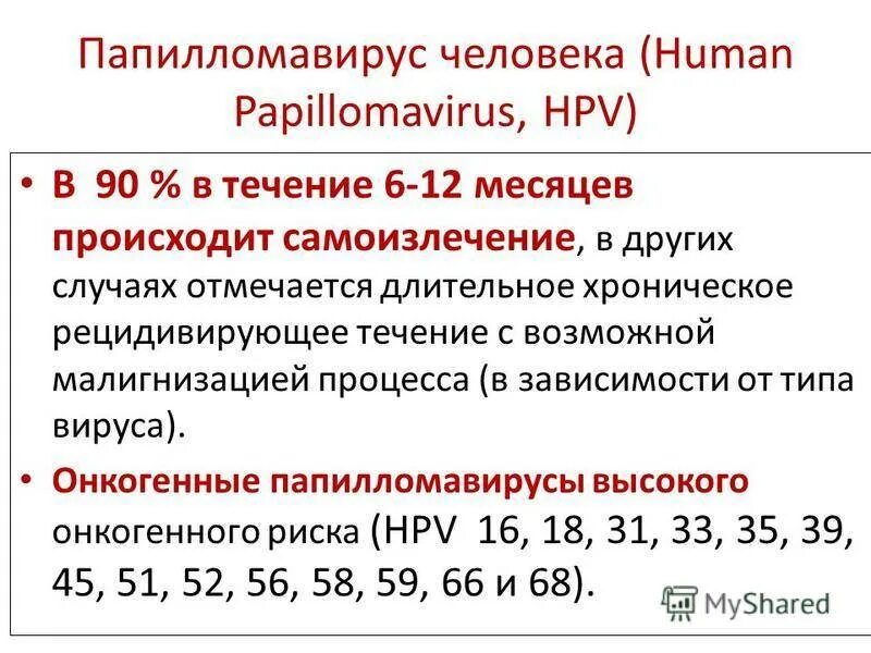 Высокоонкогенные типы ВПЧ. ВПЧ высокого онкогенного типа. Типы ВПЧ высокого онкогенного риска.