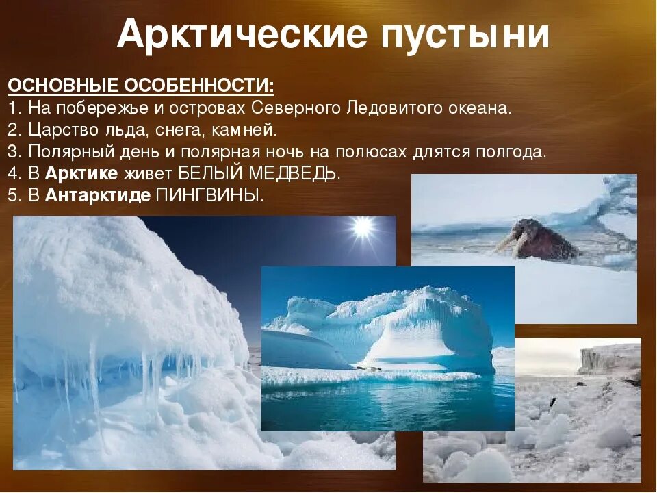 Особенности зоны арктических пустынь. Арктические пустыни характеристика. Природные особенности Арктики. Описание зоны арктических пустынь.