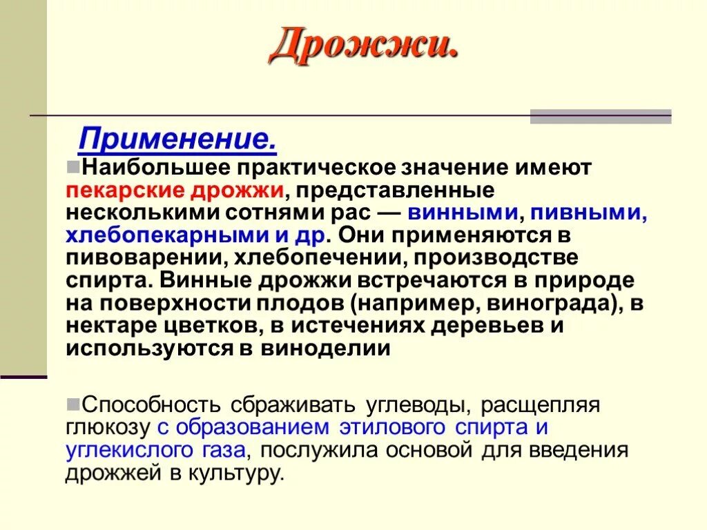 Имеет наибольшее практическое значение. Значение дрожжей. Практическое значение имеют дрожжи. Роль дрожжей. Значение дрожжей в природе.