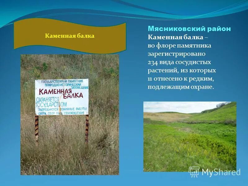 каменная балка ростовская область. хутор каменная балка ростовская область. виктория бутова камена балка орловский ростовская область. мясниковский район природа. хутор донской орловский район ростовская область.