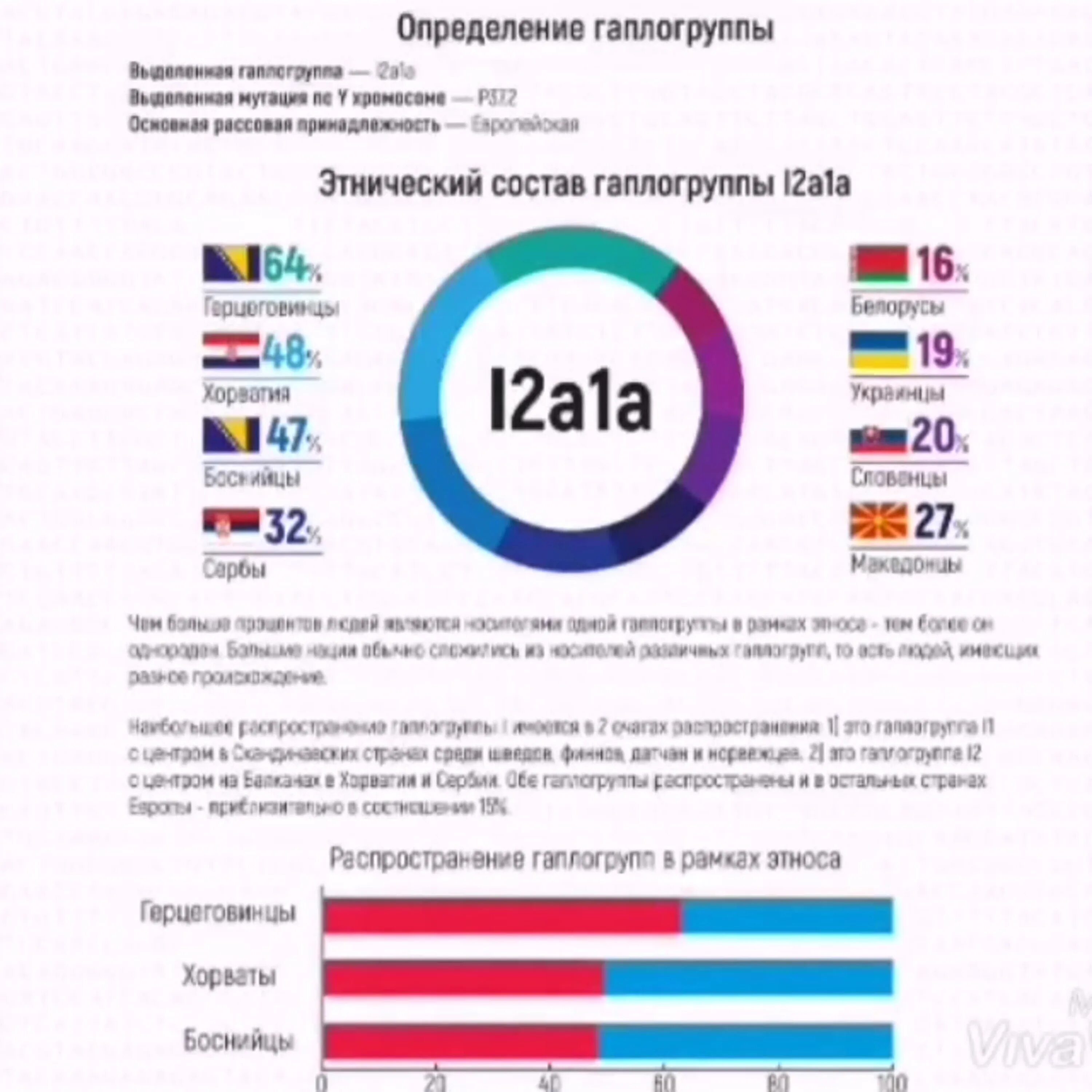 Анализ на этническое происхождение. Тест ДНК на этническую принадлежность. Тест на этническое происхождение. ДНК тест на этническое происхождение. Генетический тест на этническое происхождение.