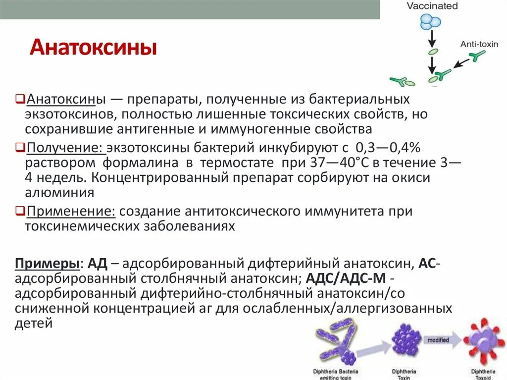 Введение вакцин анатоксинов. Анатоксин содержит микробиология. Анатоксины сыворотки микробиология. Анатоксин иммунология. АС-анатоксин принцип действия.