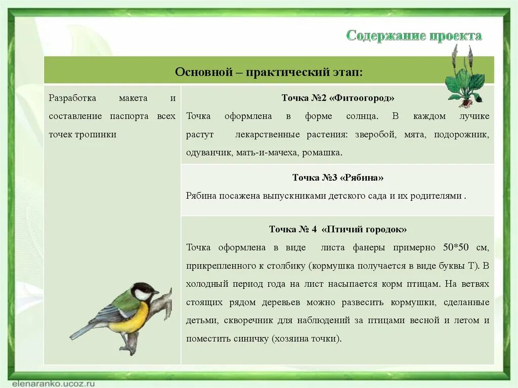 Наблюдение за кормовым поведением бобра. План наблюдения за птицами. Содержание наблюдения. Основной этап практический. Скворечник для наблюдения за птицами.