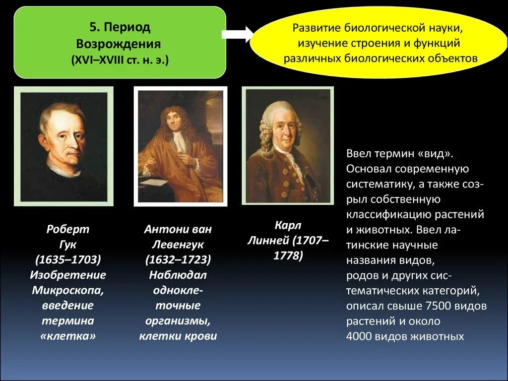 Наука эпохи Возрождения. Развитие науки в эпоху Возрождения. Эпоха Возрождения период. Представители эпохи Возрождения. Эпоха возрождения вклад