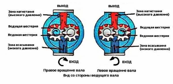 Зона высокого давления. Шестеренчатый гидравлический насос схема. Как работает насос нш10 показать схему. Принцип работы насоса НШ 10. Схема работы насоса НШ 32.