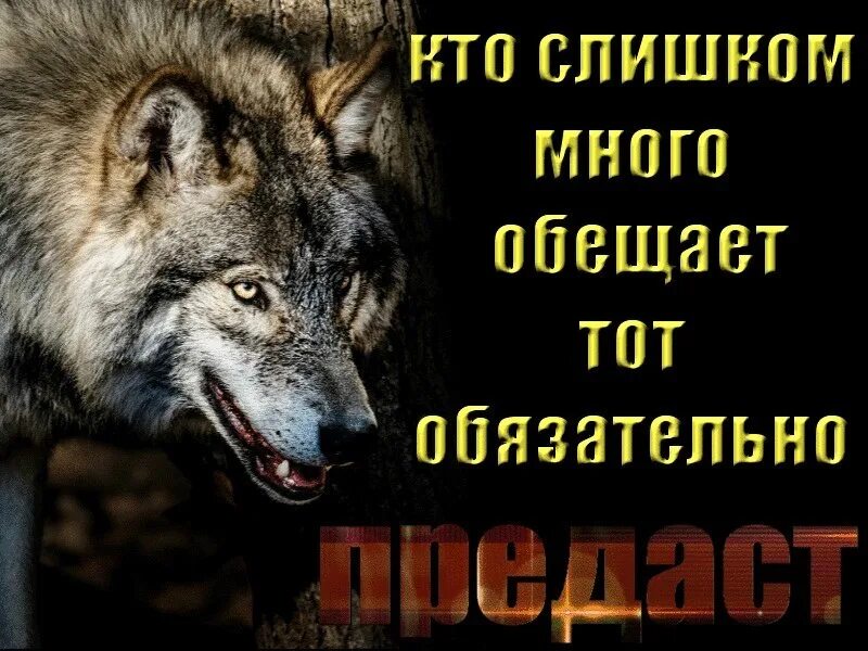 Человек много обещает. Кто много обещает тот. Не верь тому кто много обещает. Кто много обещает тот обязательно предаст. Кто слишком много обещает.