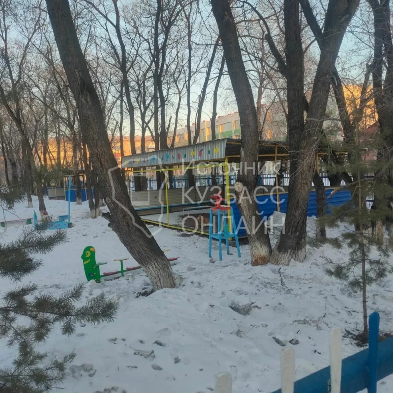 Собак на территории детского сада. Территория детского сада. детский сад.