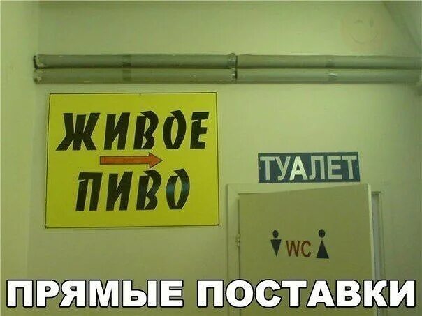 Туалет на огэ. Акшара ашок. Правила туалета. Как сходить в туалет. Картинки когда хочешь в туалет.