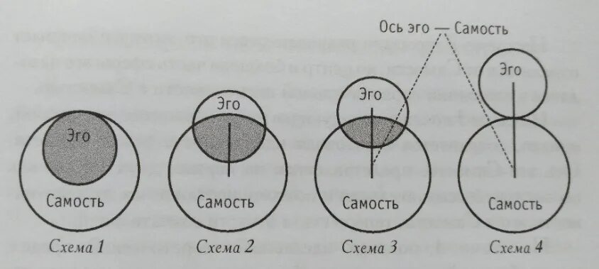 Самость юнга