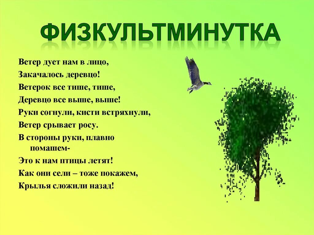 Физминутка ветер дует нам в лицо. Ветер дует нам в лицо закачалось деревцо. Физминутка ветерок. Физминутка ветер дует.