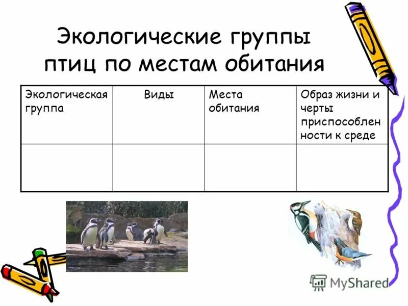 Установите соответствие экологических групп птиц. Экологические группы птиц. экологические группы пти. экологические группы птиц по местам обитания. экологические группы птиц таблица.