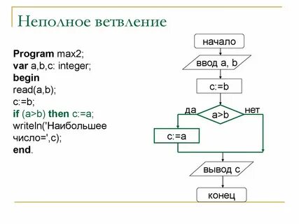 Программа цикл и ветвление